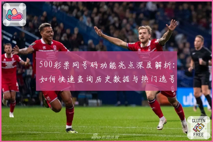 500彩票网号码功能亮点深度解析：如何快速查询历史数据与热门选号趋势