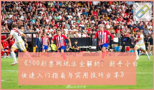 《500彩票网玩法全解析:新手小白快速入门指南与实用技巧分享》