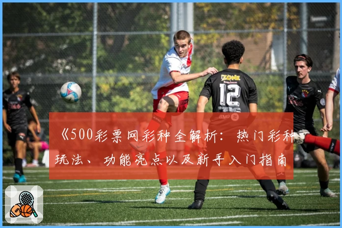 《500彩票网彩种全解析:热门彩种玩法、功能亮点以及新手入门指南》