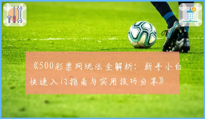 《500彩票网玩法全解析：新手小白快速入门指南与实用技巧分享》