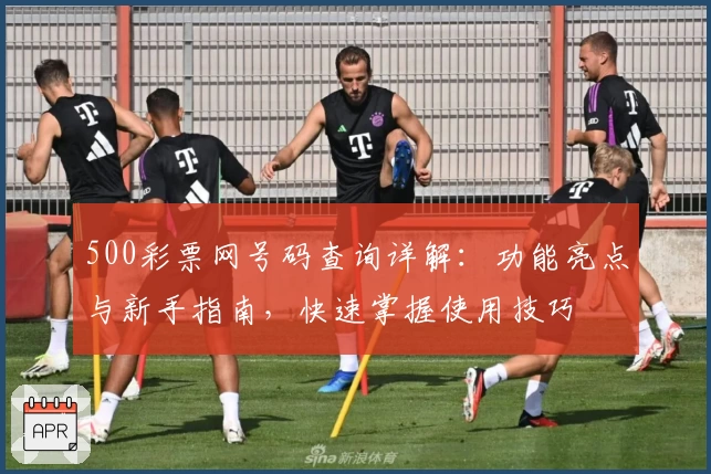 500彩票网号码查询详解:功能亮点与新手指南,快速掌握使用技巧