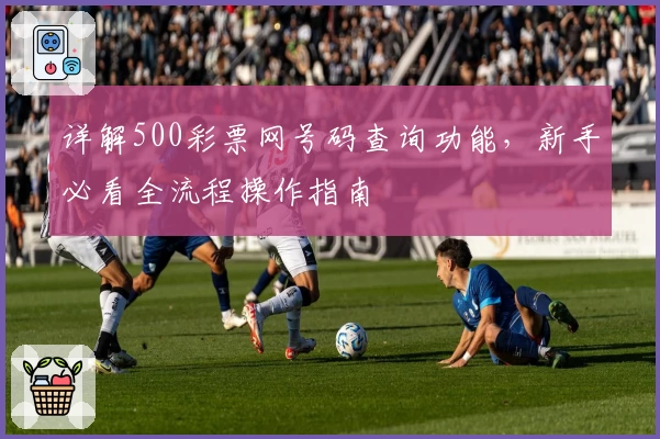 详解500彩票网号码查询功能，新手必看全流程操作指南