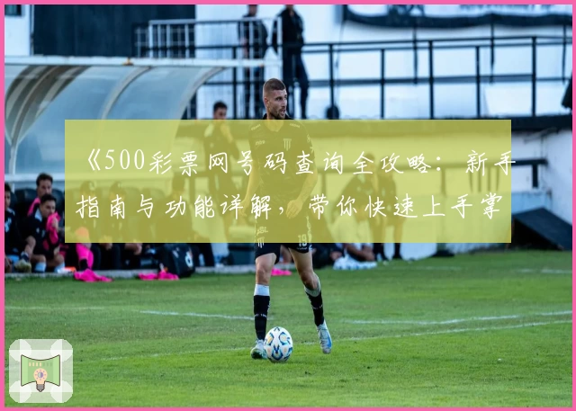 《500彩票网号码查询全攻略：新手指南与功能详解，带你快速上手掌握核心玩法》