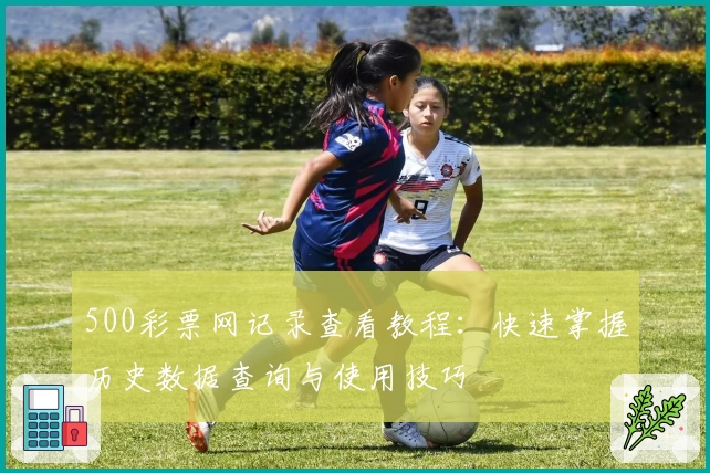 500彩票网记录查看教程:快速掌握历史数据查询与使用技巧