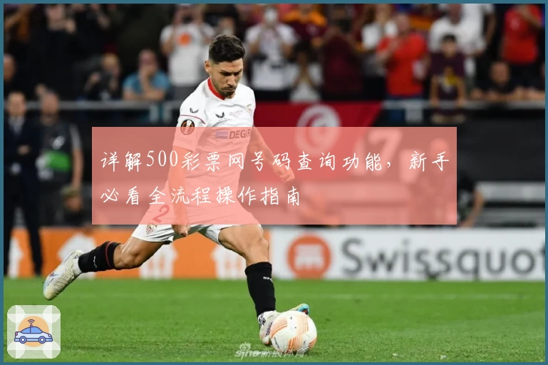详解500彩票网号码查询功能,新手必看全流程操作指南